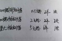 迁安树苗出售/杨树苗 柳树苗 柏树苗/价格面议，量大从优。